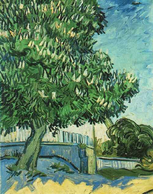 Chestnut Tree in Blossom 