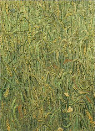 Ears of Wheat 