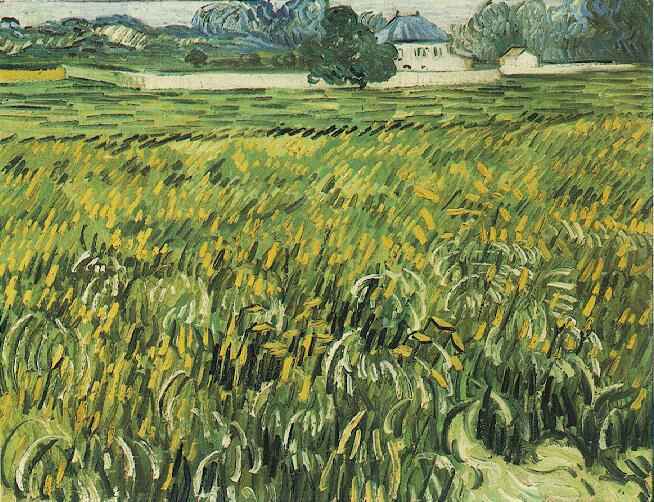 Wheat Field at Auvers with White House 