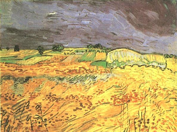 Fields, The 