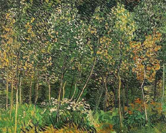 Grove, The 