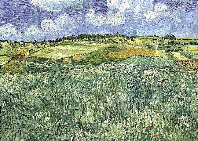 Plain Near Auvers 