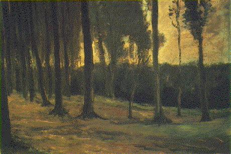 Edge of a Wood 