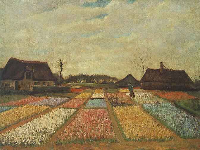 Bulb Fields 