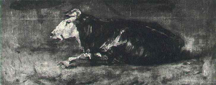 Lying Cow 