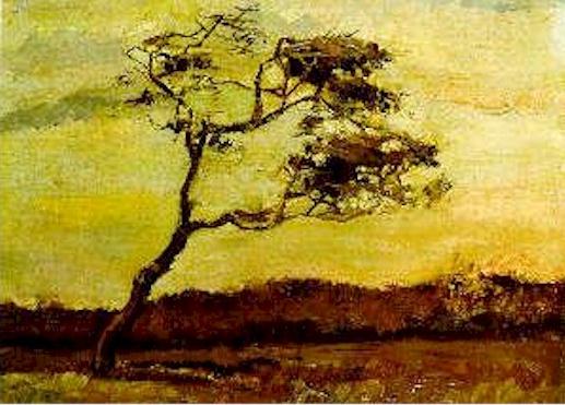 Wind-Beaten Tree, A 