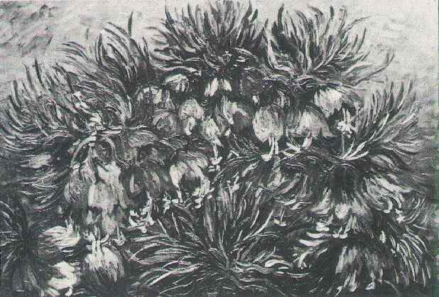 Fritillaries 