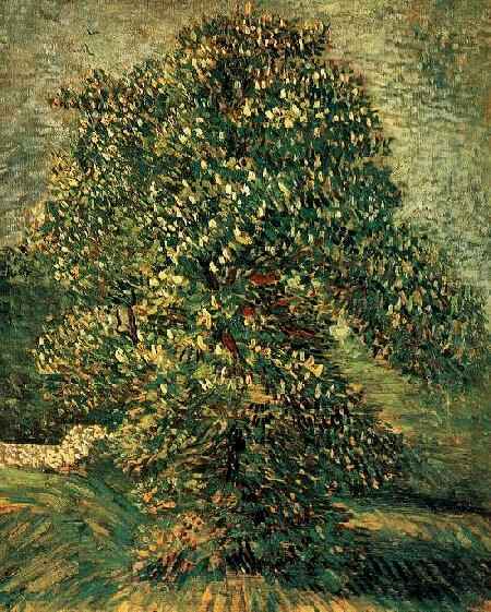 Chestnut Tree in Blossom 
