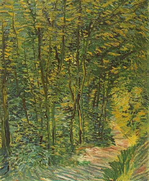 Path in the Woods 