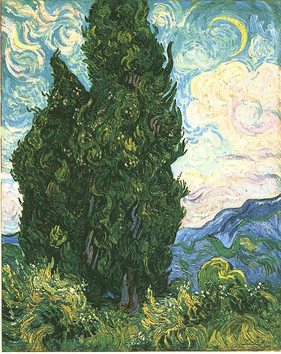 Cypresses 