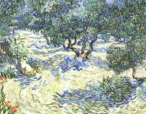 Olive Grove 