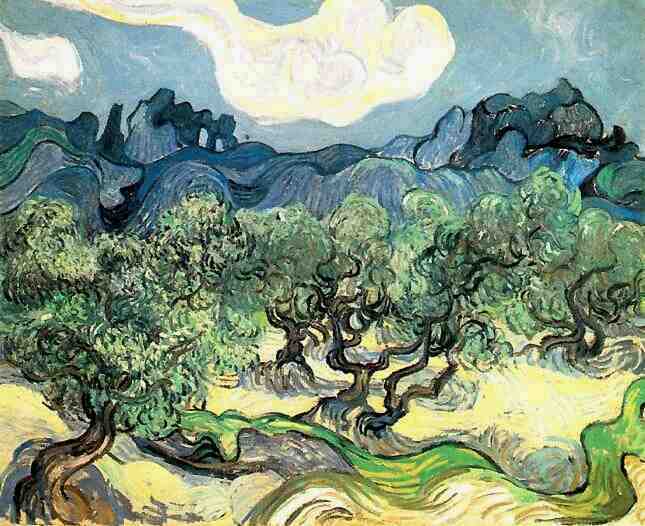 Olive Trees with the Alpilles in the Background 