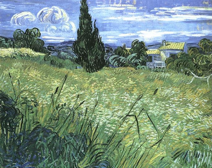 Green Wheat Field with Cypress 