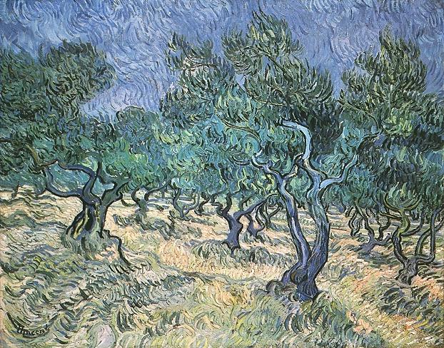 Olive Grove 