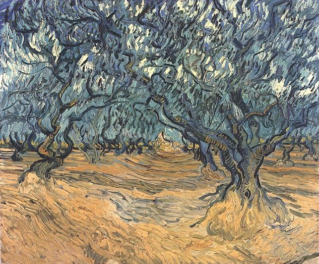 Olive Trees 