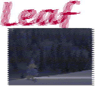 wave效果图2