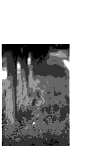xrayЧͼ
