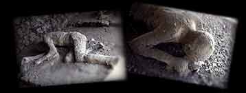 pompeii bodies