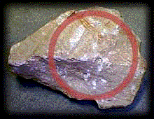 Pumice Rock