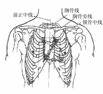 胸部标志线(前面)