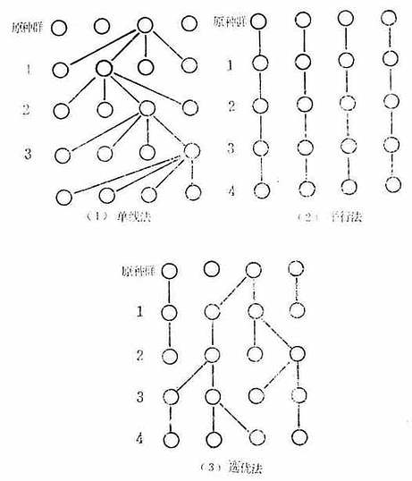 近交系原种群(基础群)的维持方法