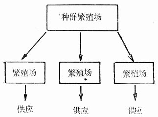 繁殖场较多时,为避免各繁殖之间产生隔离生产的方法
