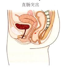 ֱͻ