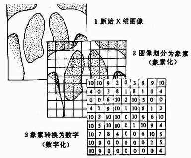 象素转换为数字(数字化)