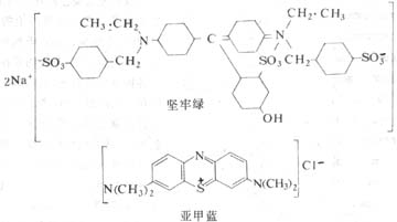 坚牢绿(酸性染料)与亚甲蓝(碱性染料)的化学结构及其染色反应示意