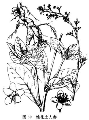 ˲
